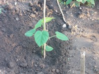 /album/fotogalerie-blog/a002-jpg1/