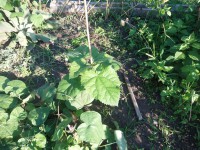 /album/fotogalerie-blog/a001-jpg1/