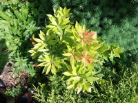 /album/fotogalerie-otazky-a-odpovedi/a186-jpg/