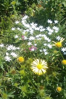 /album/fotogalerie-otazky-a-odpovedi/a073-jpg/