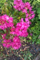 /album/fotogalerie-otazky-a-odpovedi/a074-jpg/